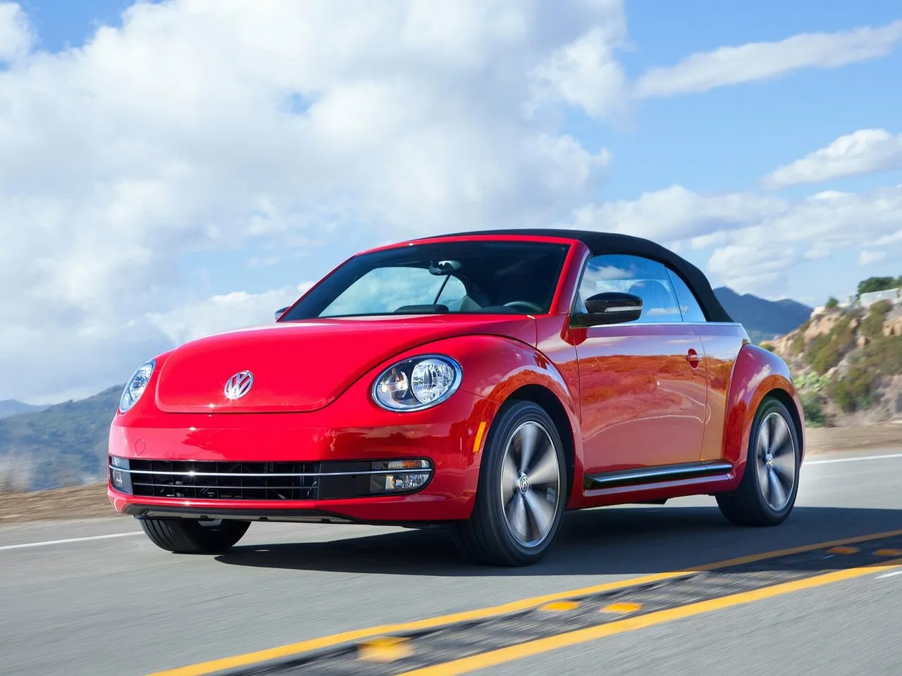 Beetle