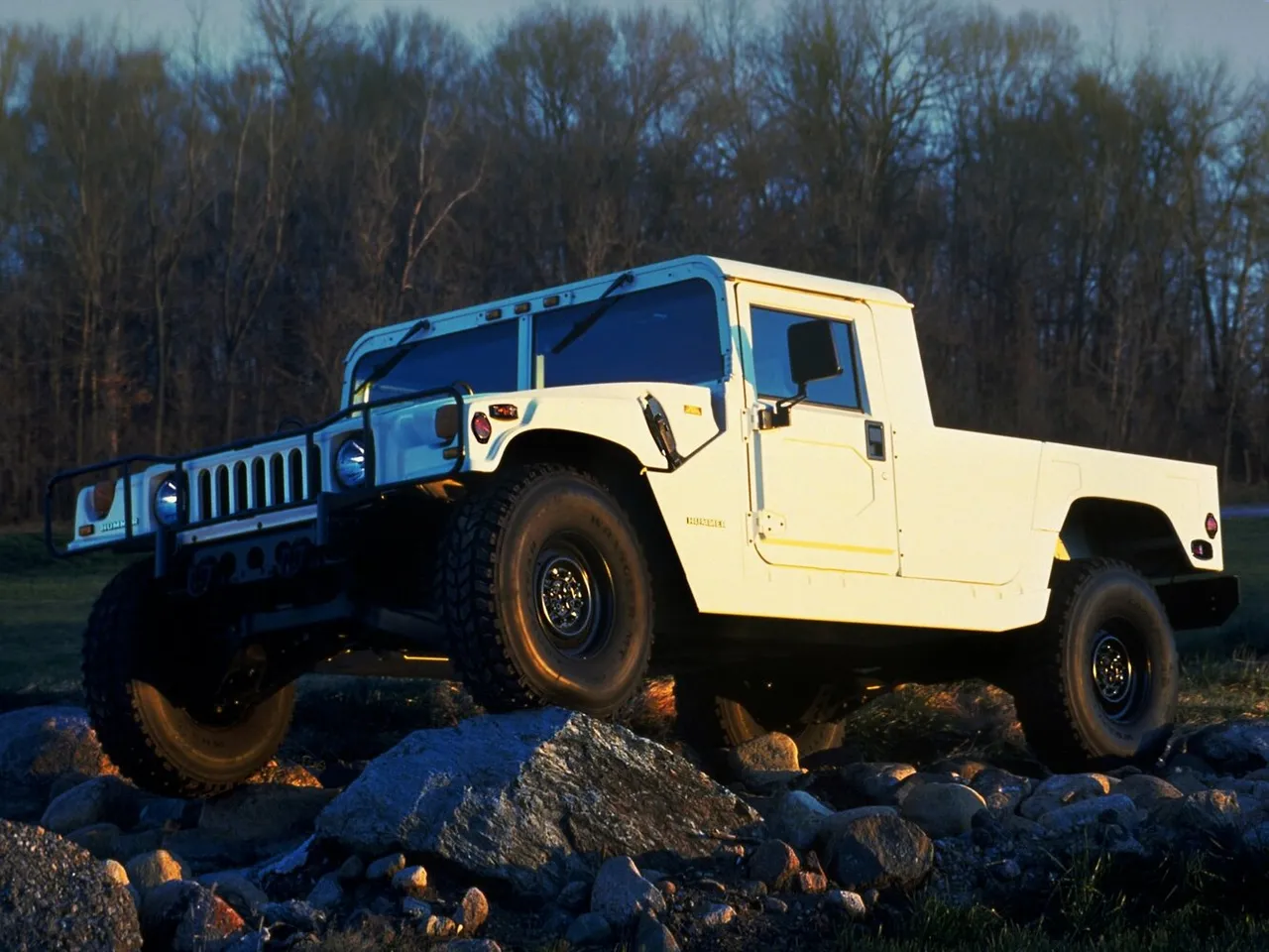 H1
