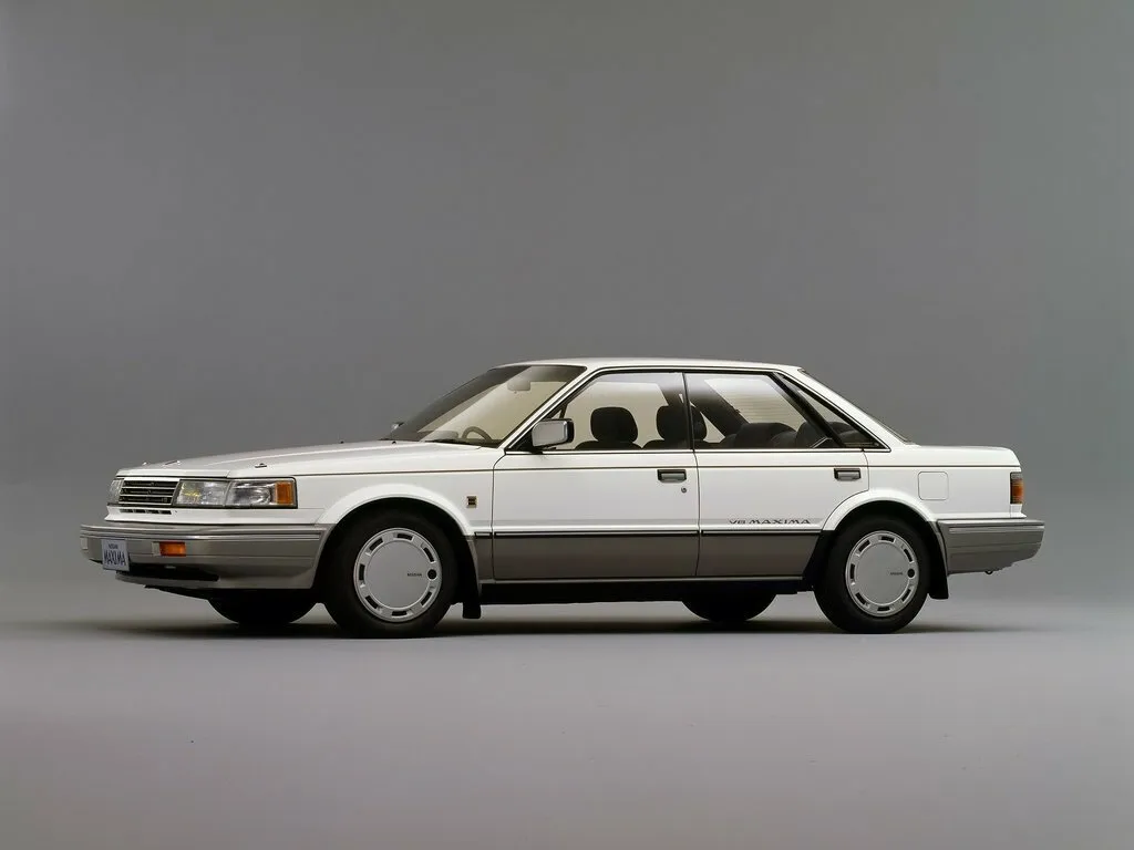 Bluebird Maxima