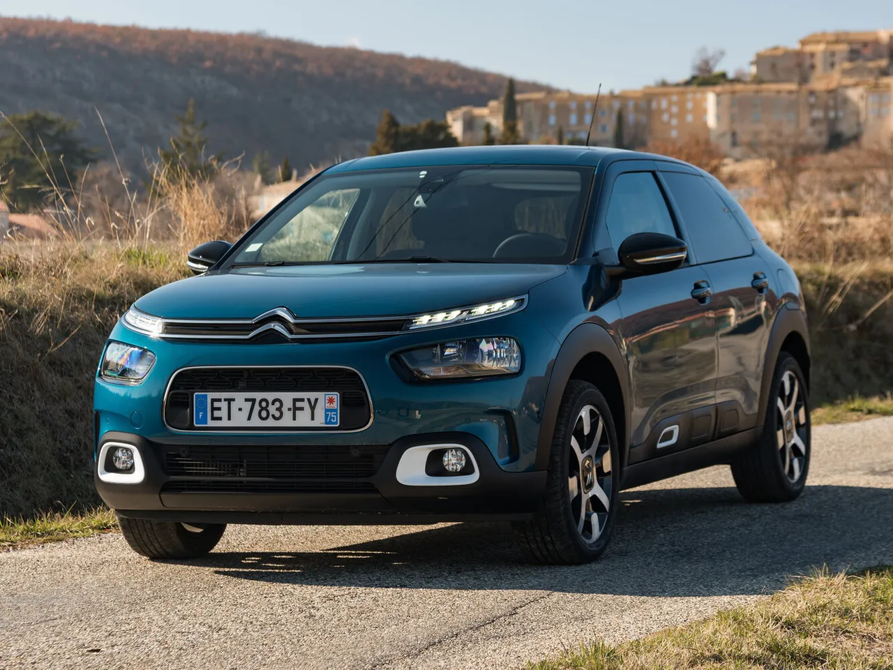 C4 Cactus