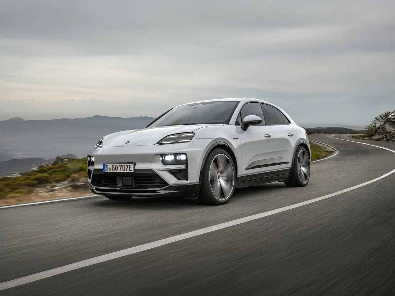 Macan