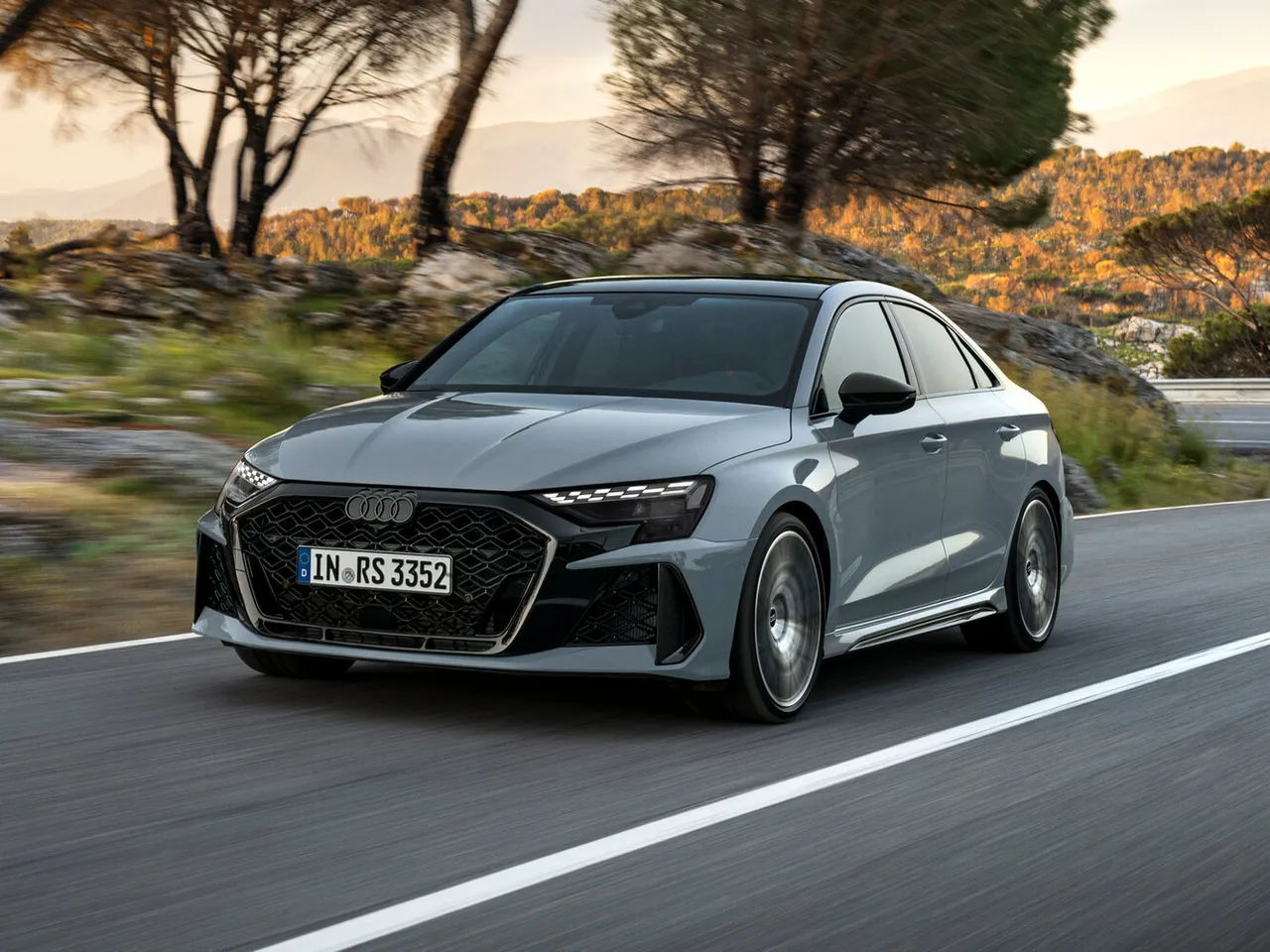 RS 3