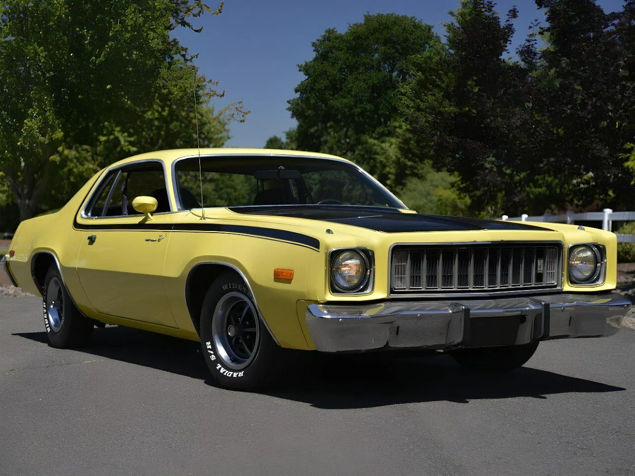 Road Runner