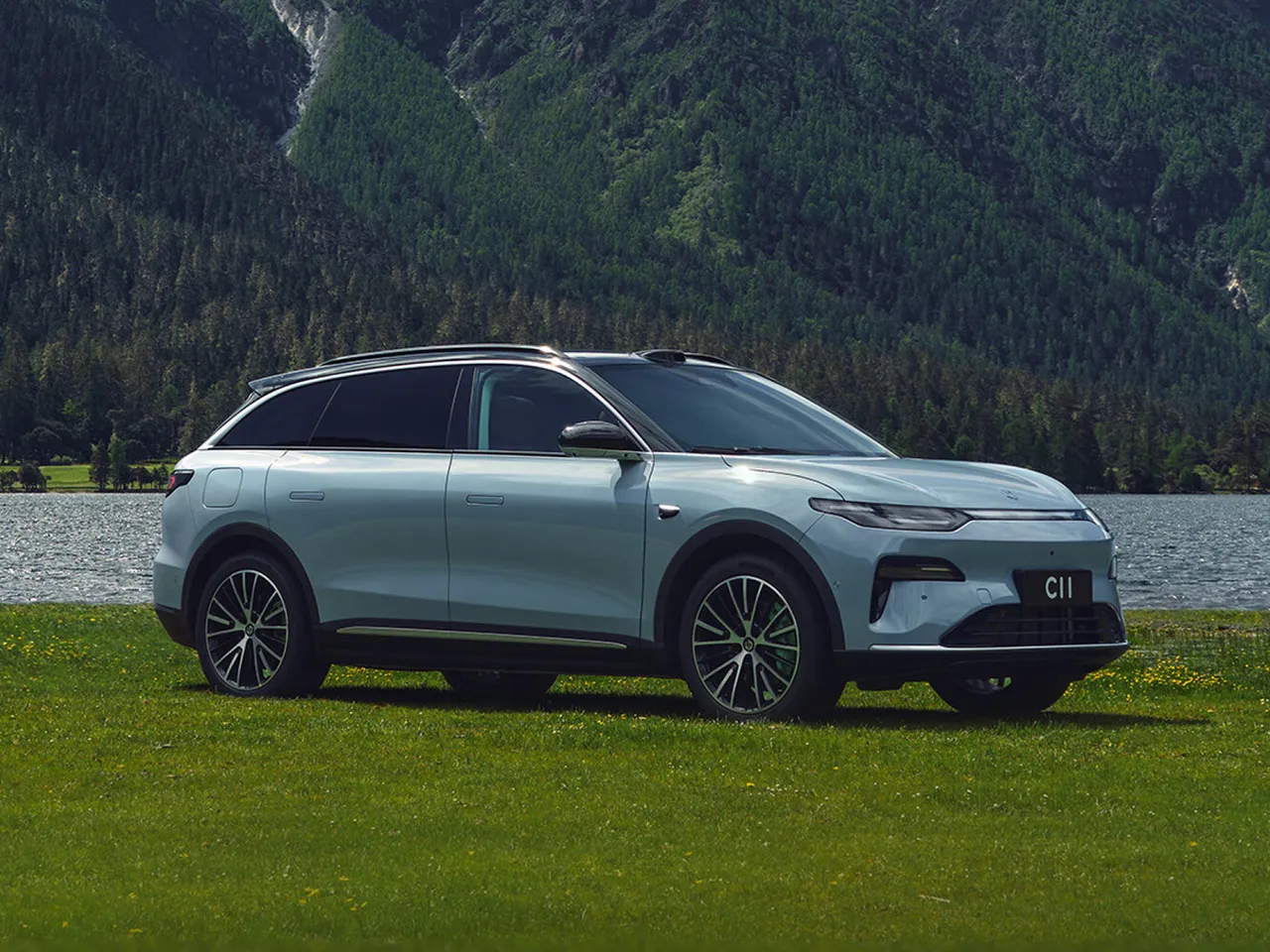 C11
