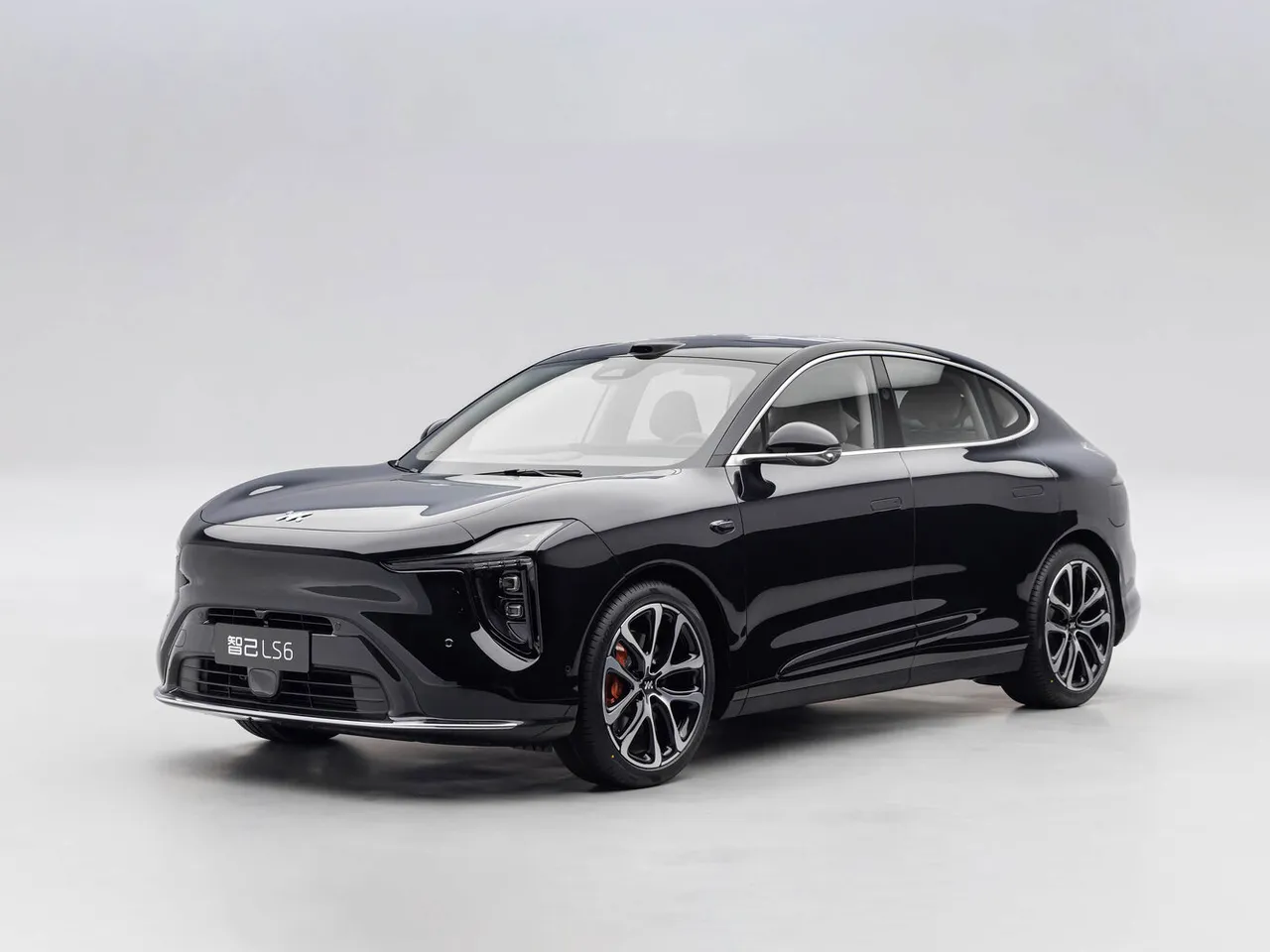 LS6