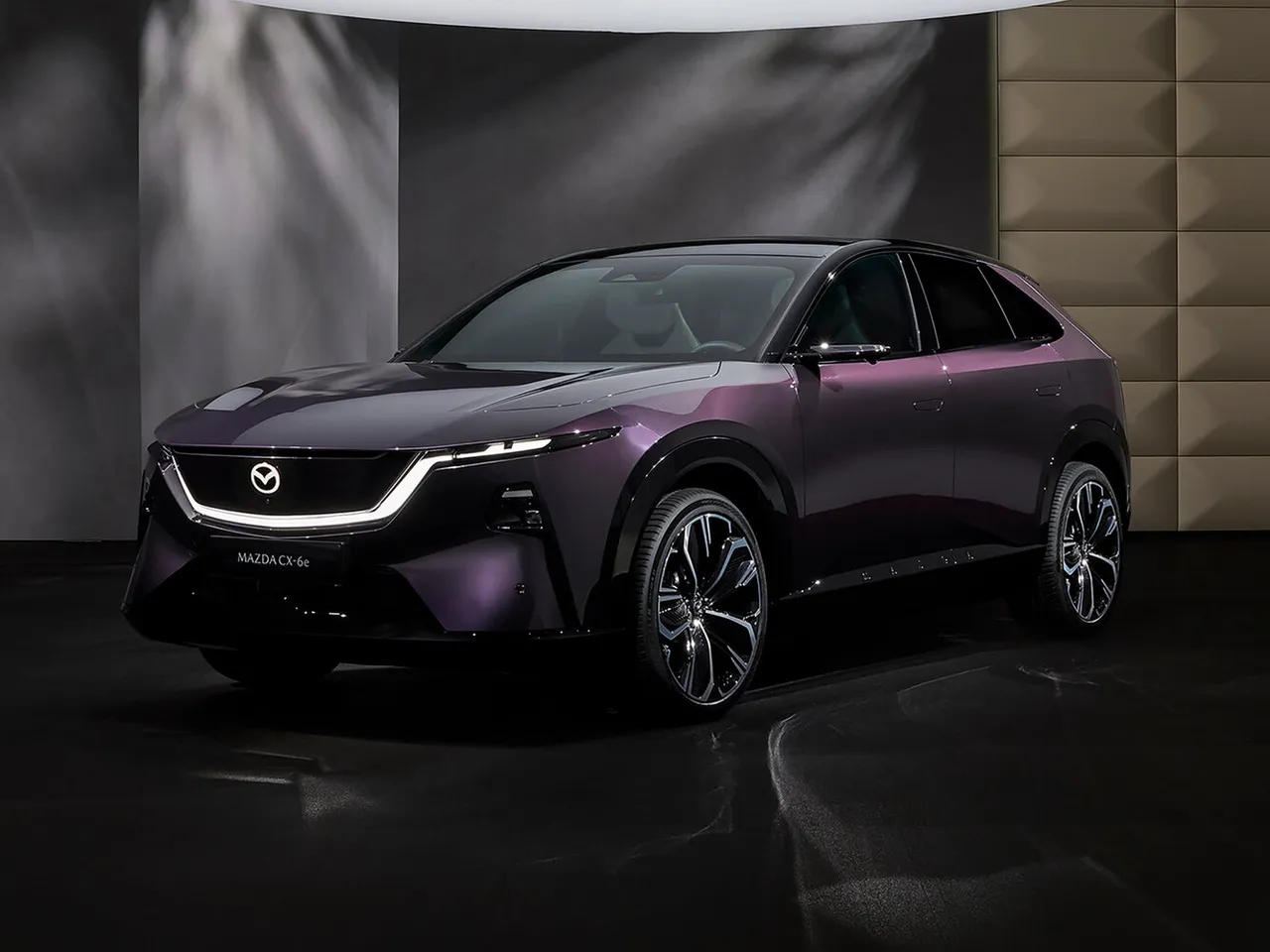 CX-6e