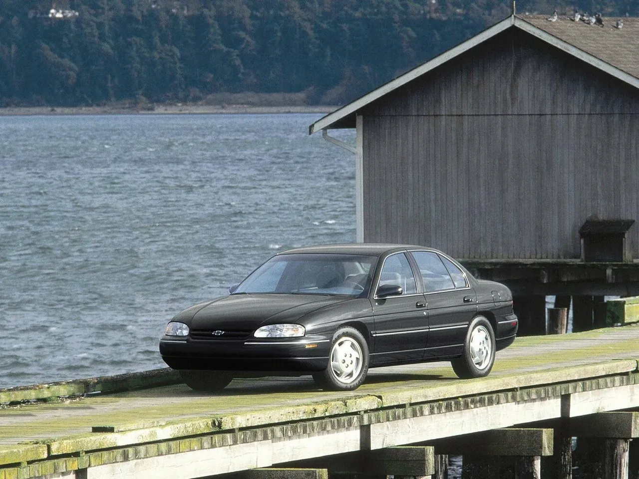 Lumina